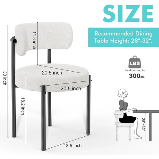 Modern Dining Chairs with Curved Backrest & Metal Legs