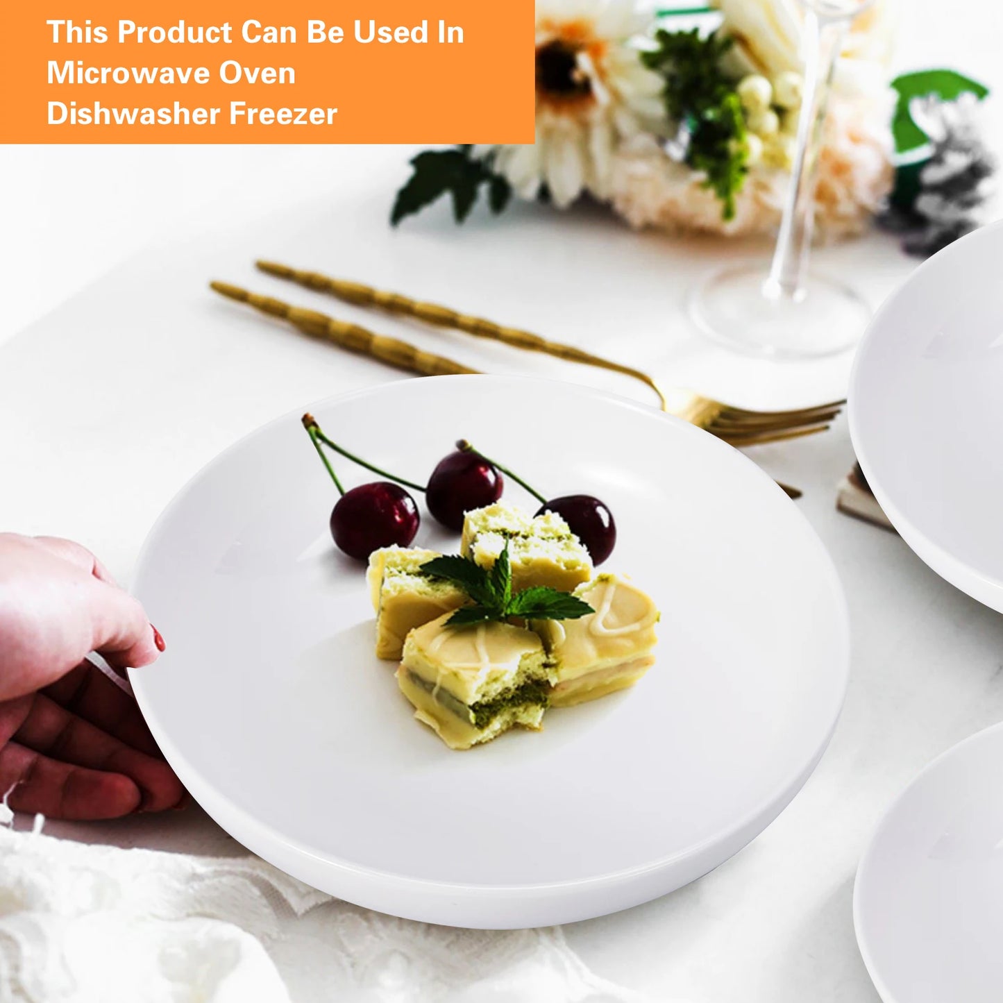 8" Pasta Bowls, 6 Pack set, Porcelain, Pasta Plates, Large Shallow