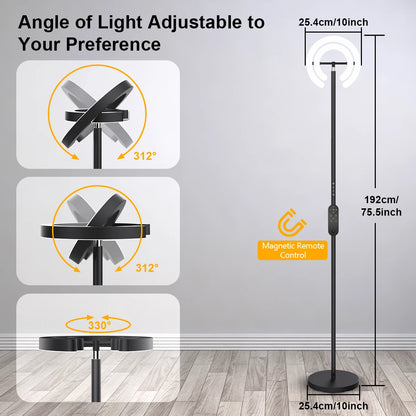 LED Floor Lamp, 2 Rotatable Lights, Remote/Touch Control